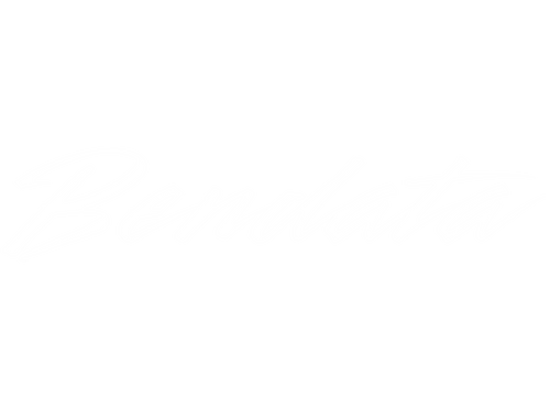 OFFICIAL BENDATA